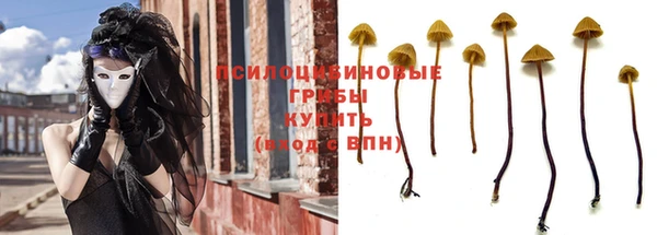 эйфоретик Алексин
