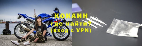 гашик Няндома
