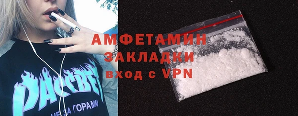 прущие грибы Алзамай