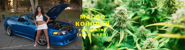 прущие грибы Алзамай
